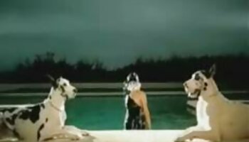 Tamed reife frauen porn movies Teens Nextdoor Teen wird hart in enge Muschi gefickt