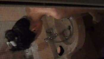 Sie pornogrund reife damen sind so süße japanische Schulmädchen Vol 2 - JavHD.net