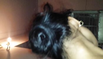 Schwüle Shemale Victoria Carvalho und ein Kerl lutschen sich gratis sexfilme reife frauen gegenseitig die Schwänze